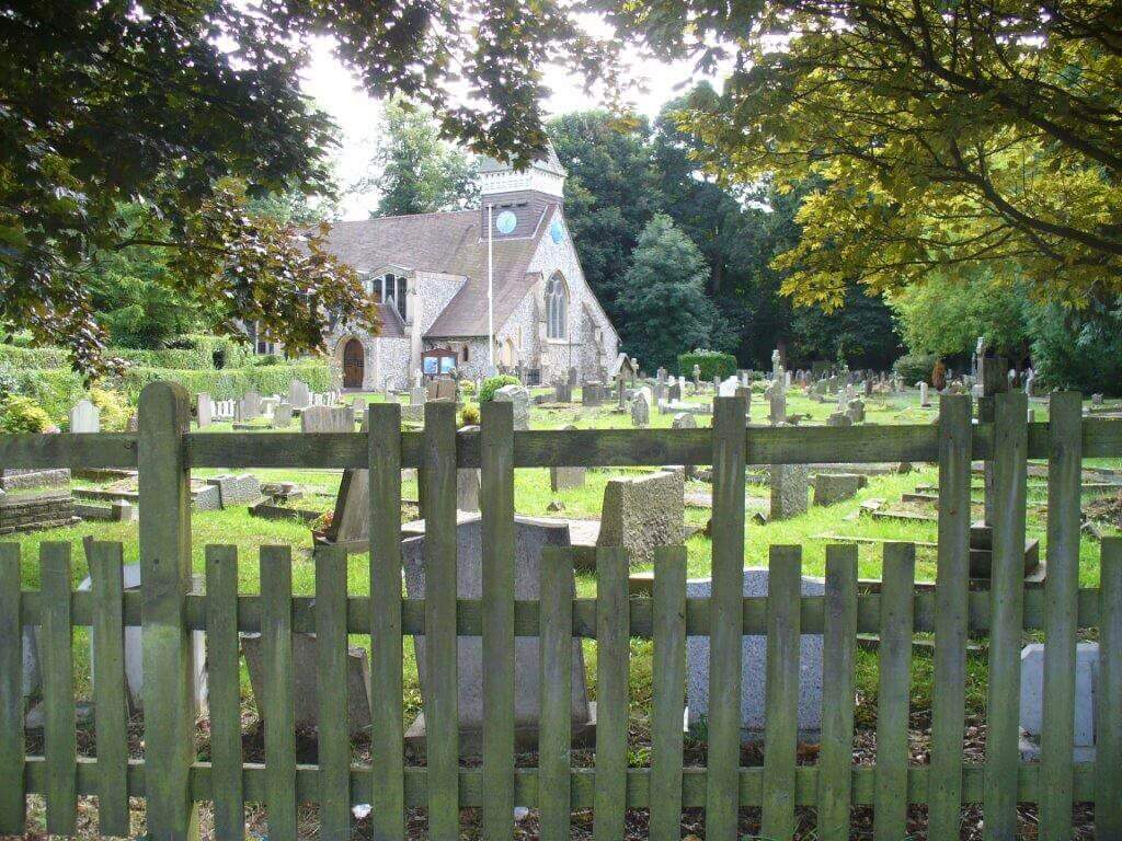 Quality timber fencing