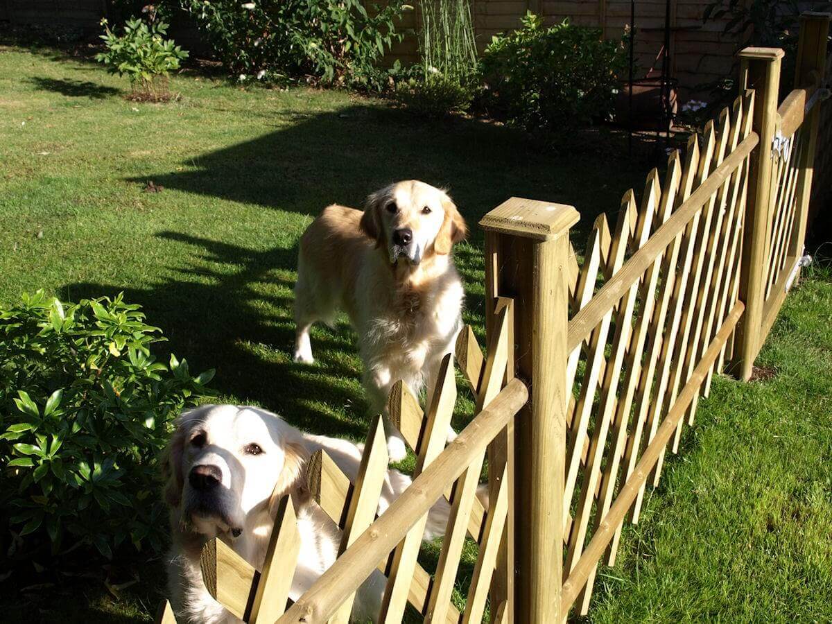 Dog fencing using Jaktop panels