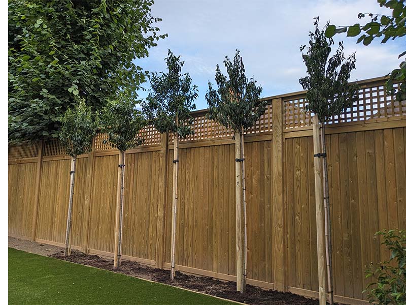 luxury home privacy fence luxury home privacy fence