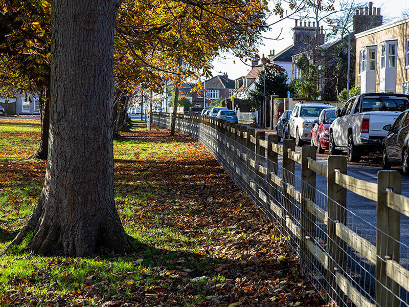 timber post and rail fencing park boundary