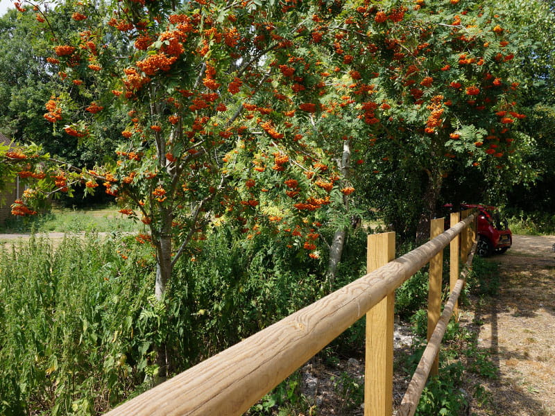 Post and Rail Fencing
