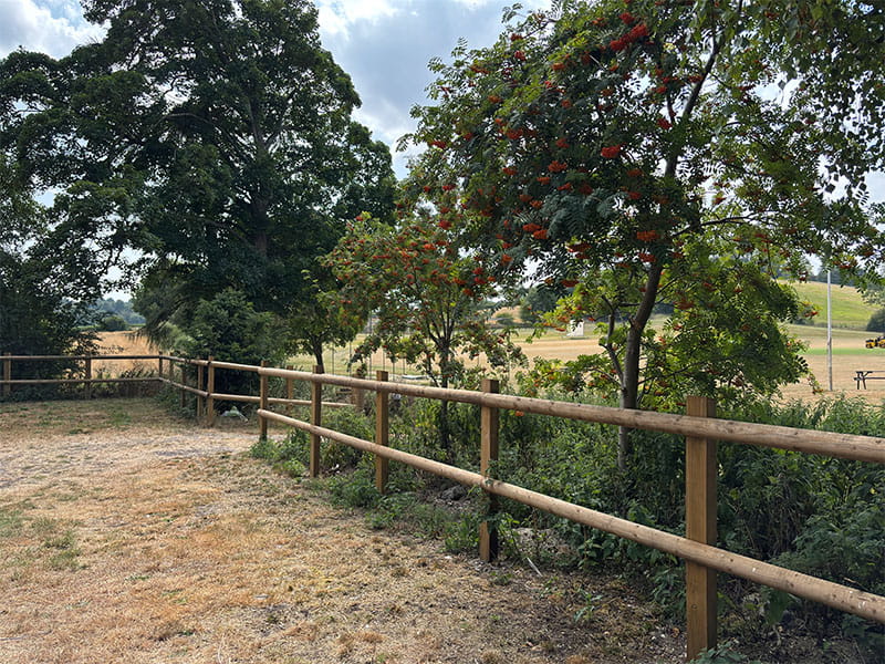 Post and Rail Fencing