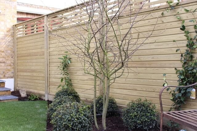 Canterbury Combi Jacksons Fencing