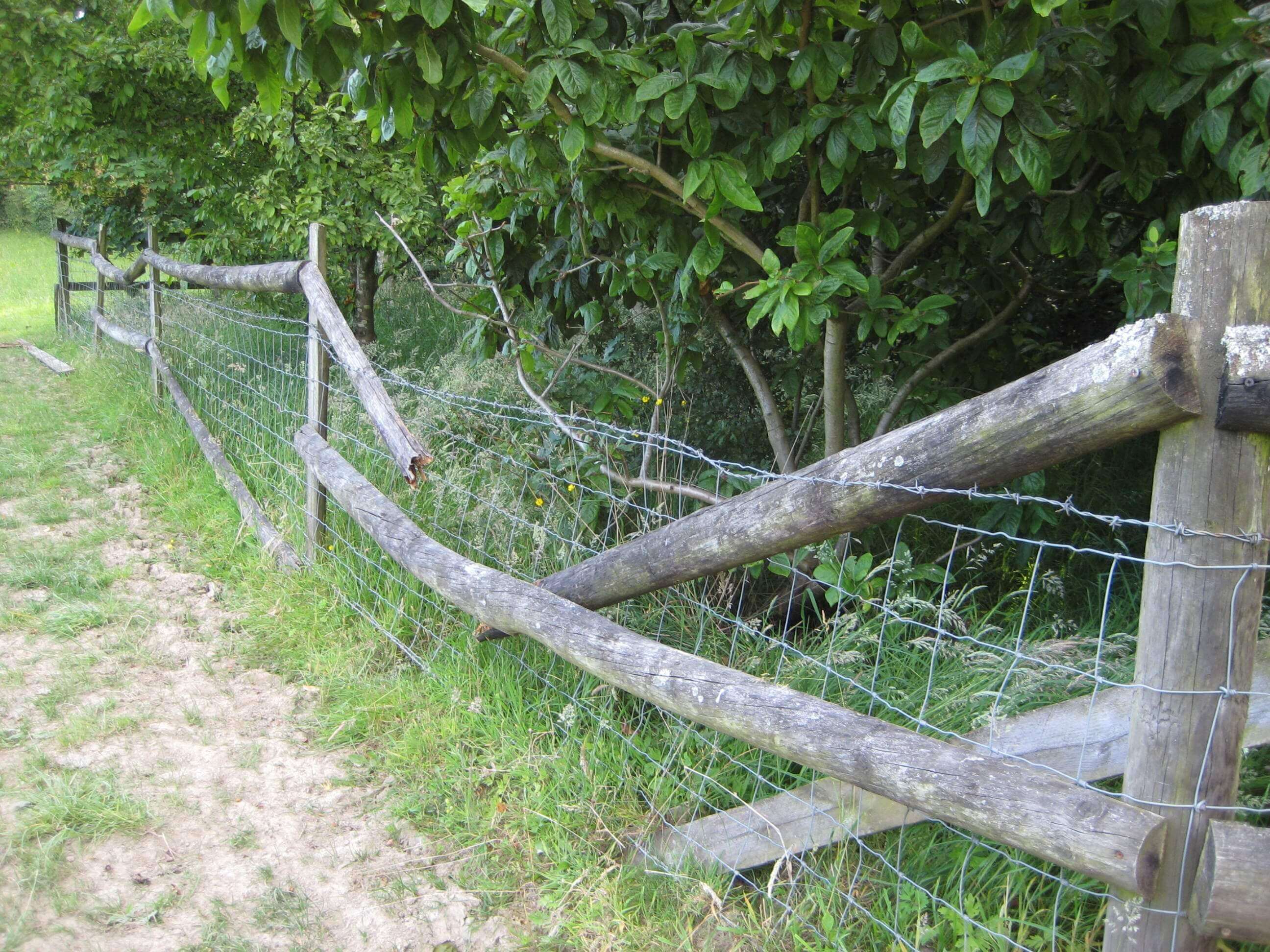 old fence with rotten rails