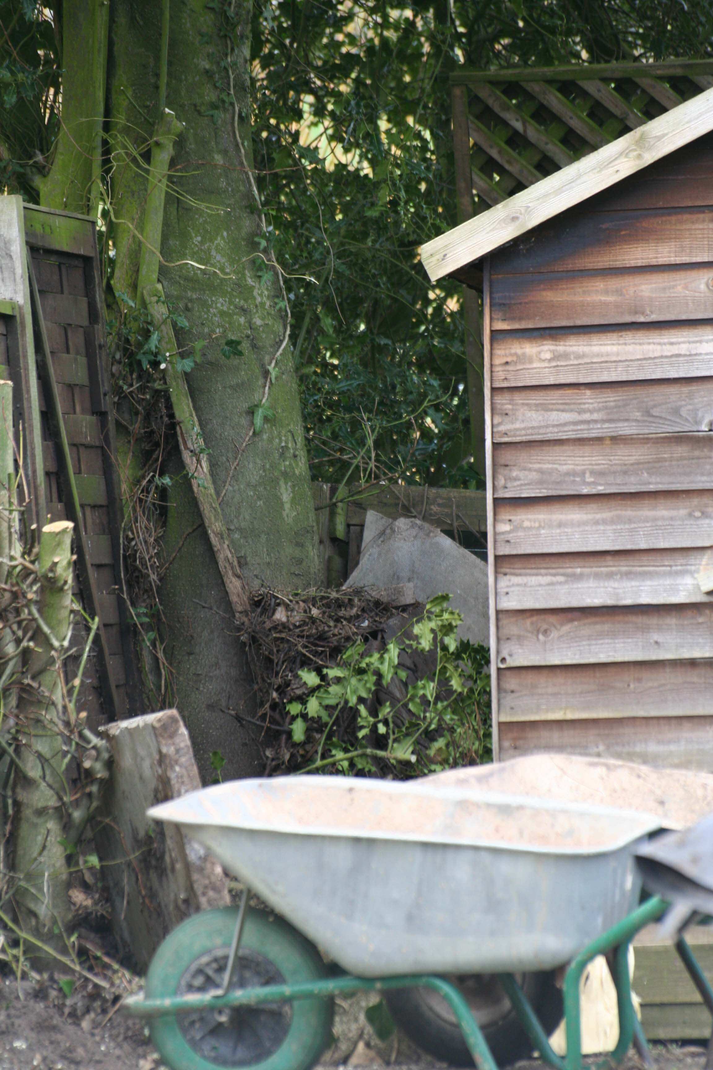 shed before renovation