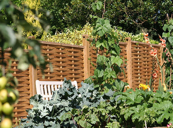 woven fence panels in veg garden