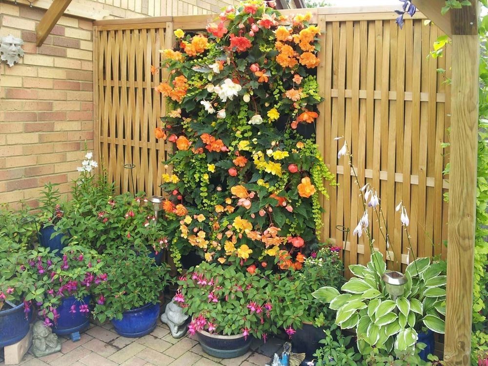 living wall with woven fence panels