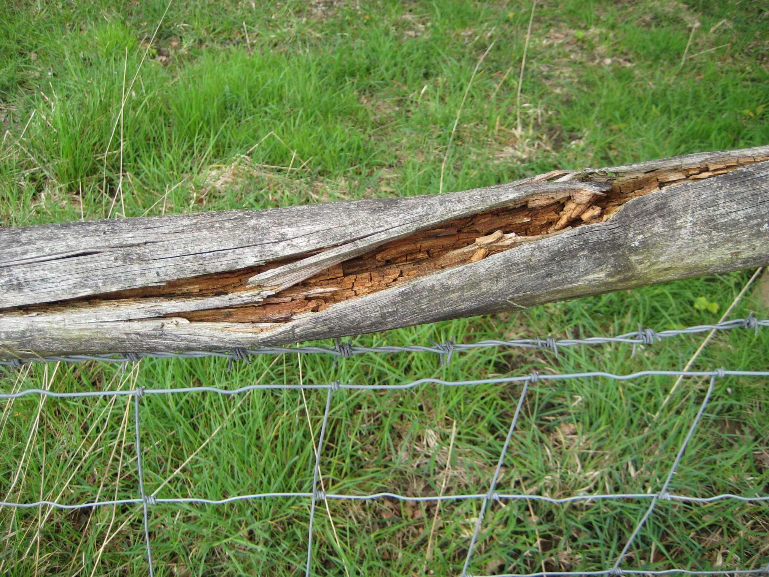 rail rotten in centre