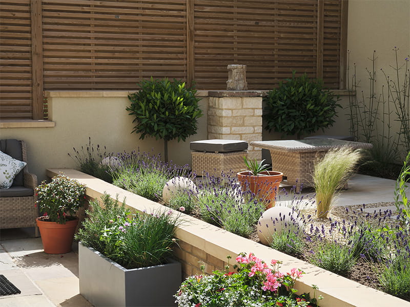 Drought proof garden design