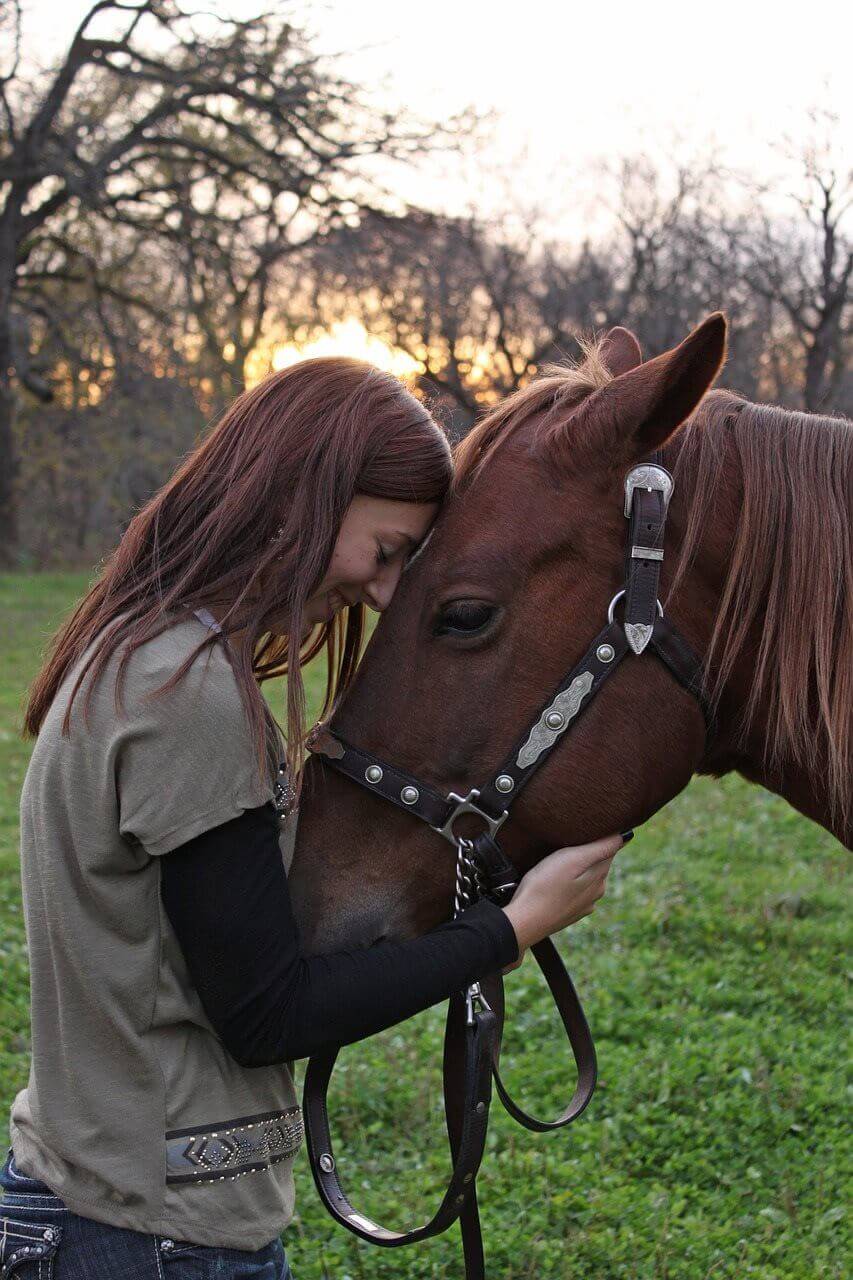 Why horses are good for you