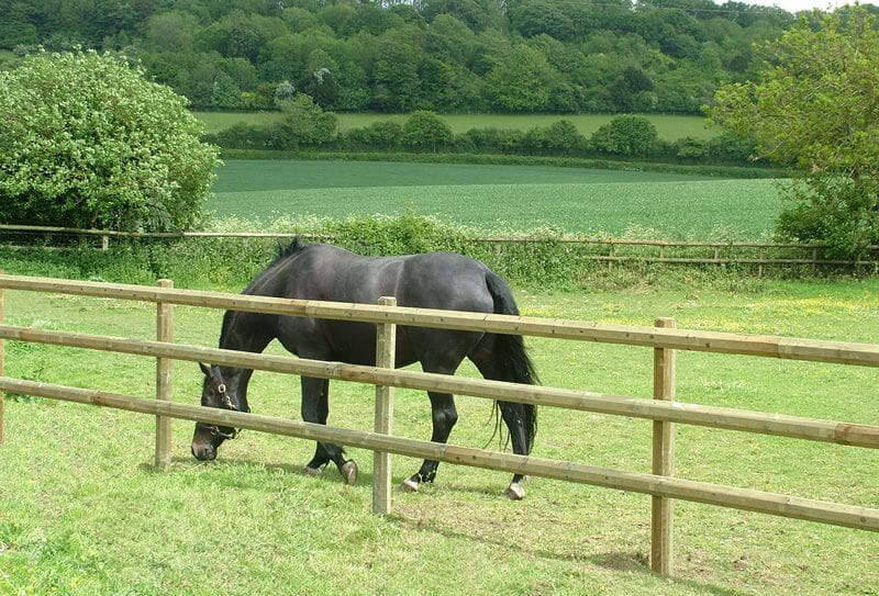 Octowood Horse Fence