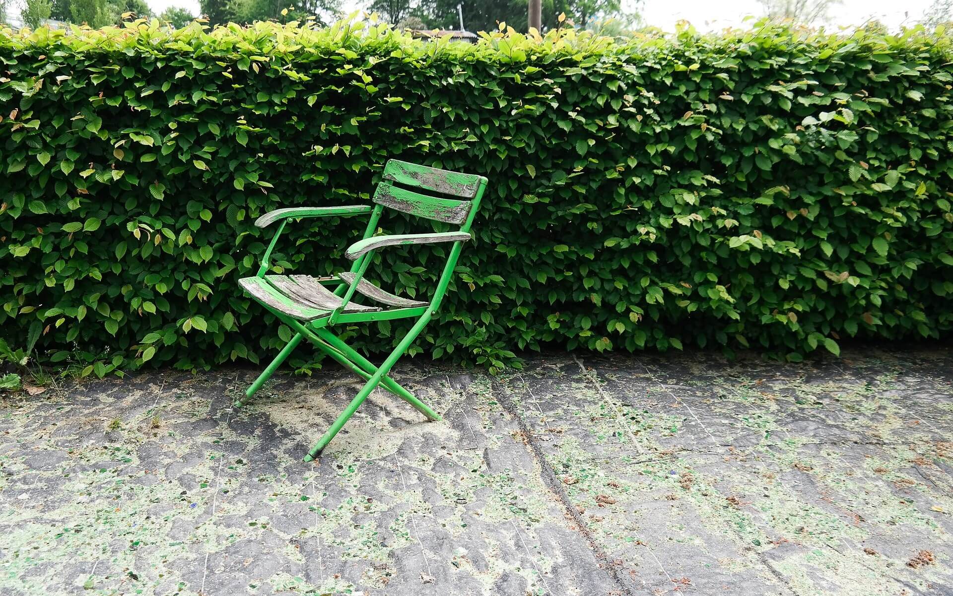 Hedge and green chair