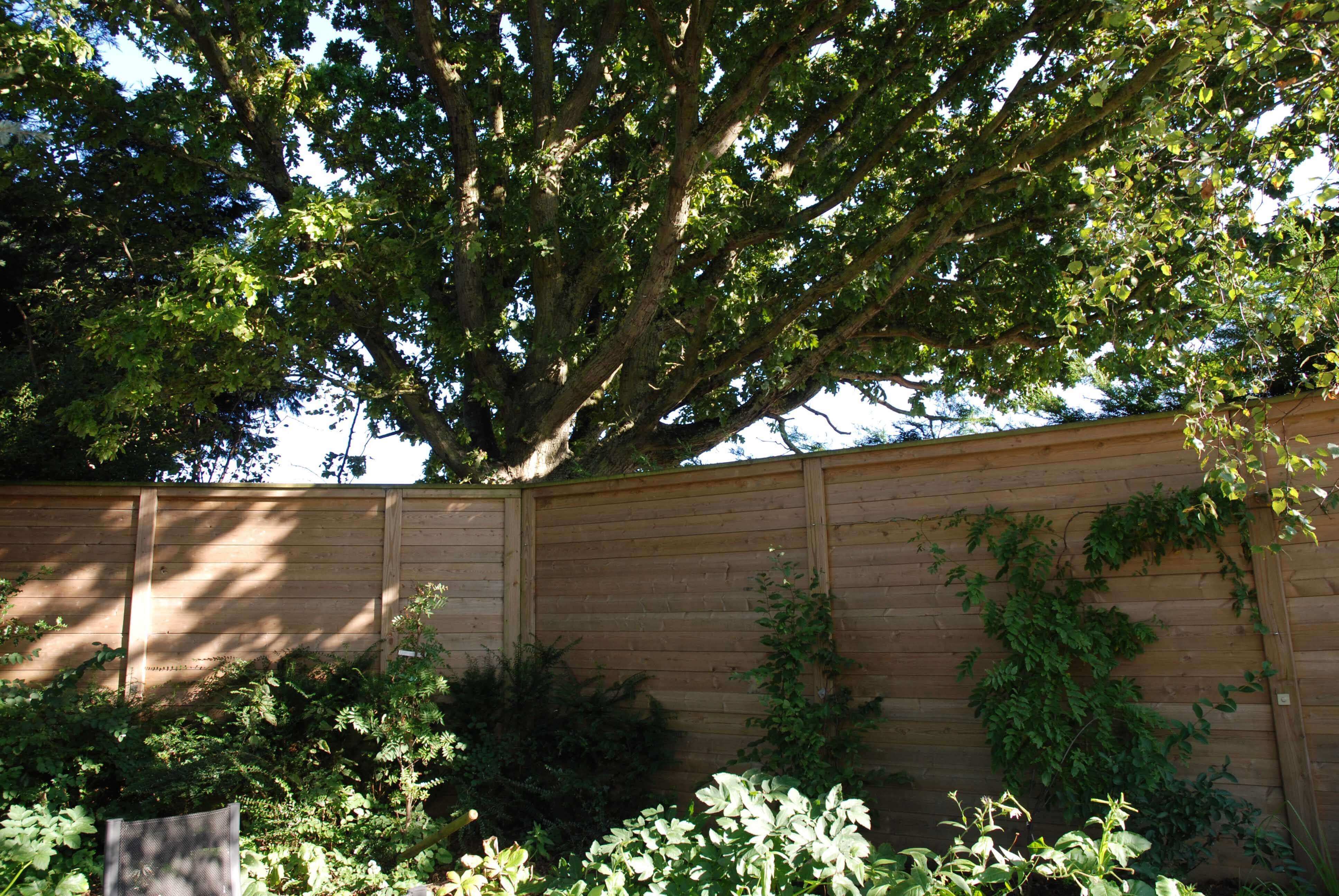 acoustic fencing panel barrier in designer garden