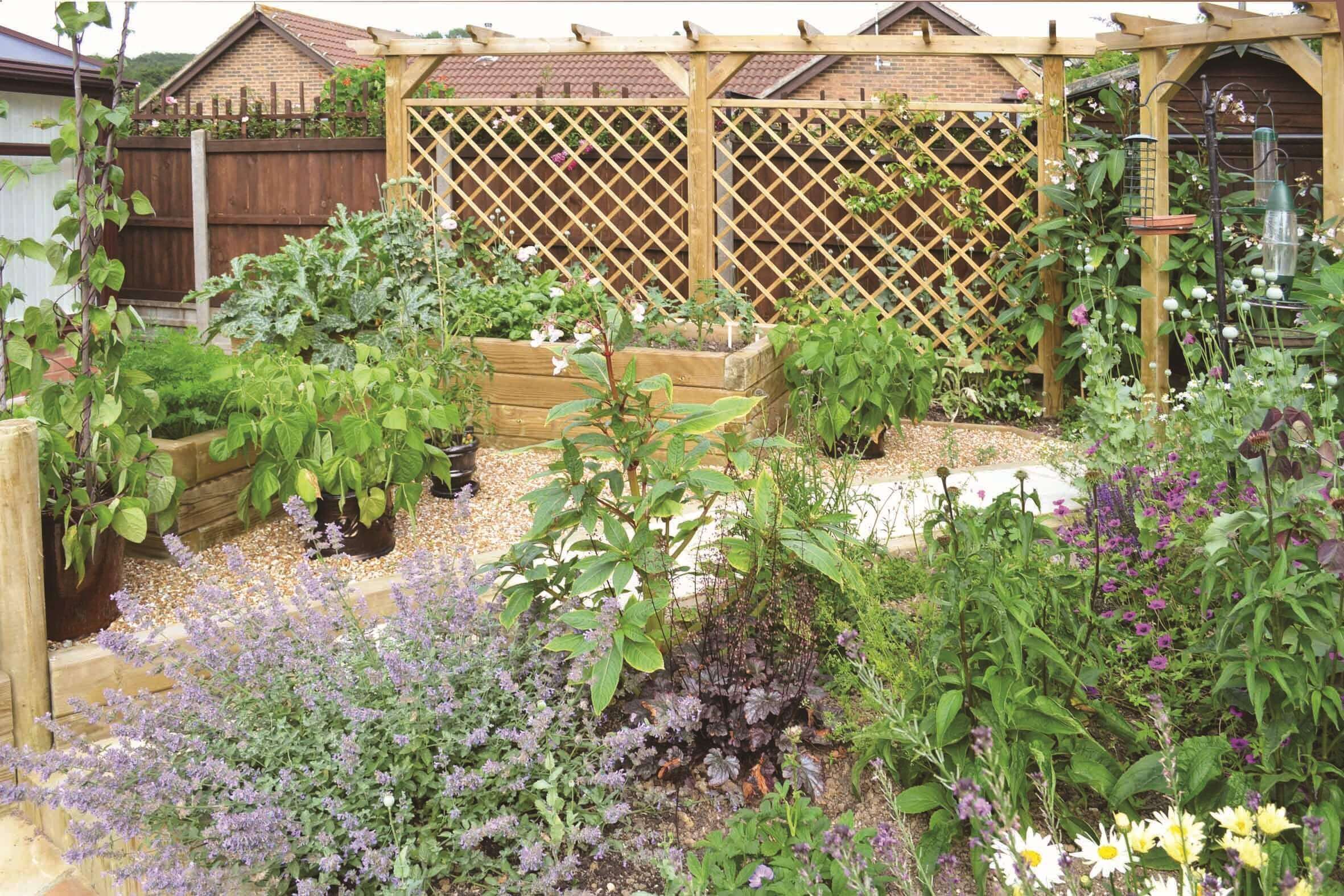 single pergola diamond trellis for climbing plants