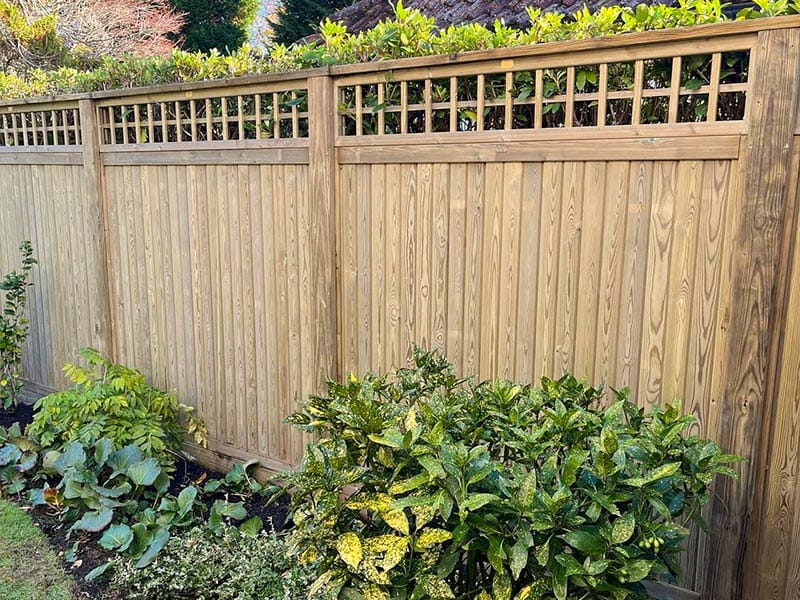 fencing contractor near me surrey