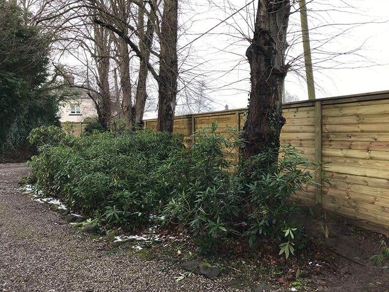 soundproofing garden from traffic noise