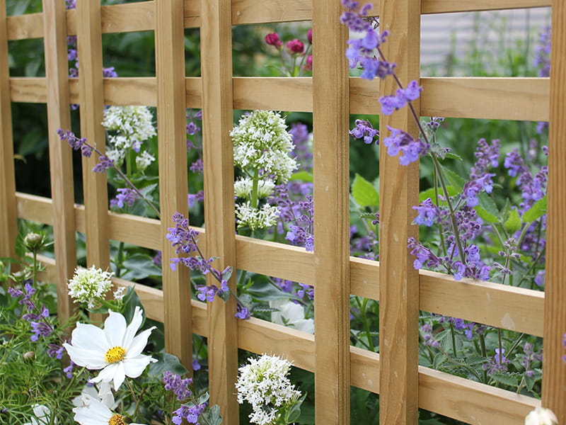 garden decor trellis