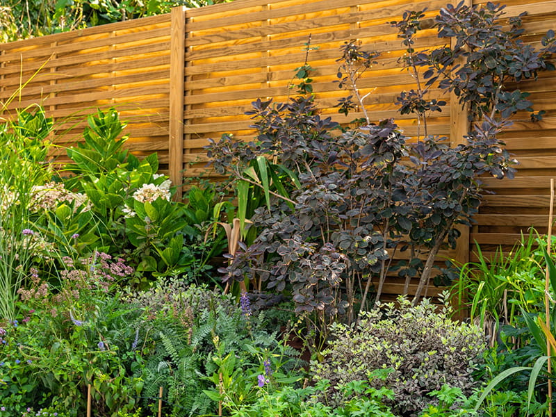 Garden fencing for shade