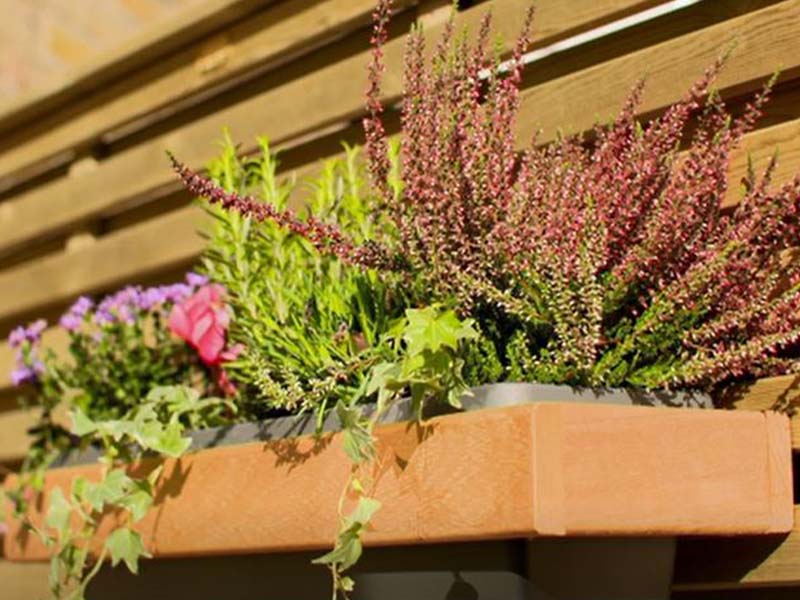 decorative shelves on fencing