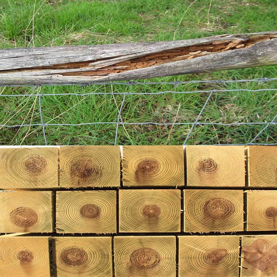Pressure treated fence post vs rotten fence post