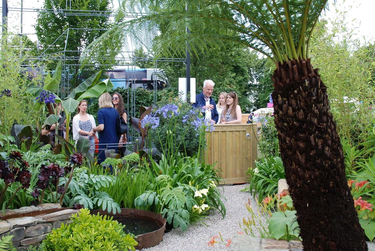 Cornish home at last garden with guests