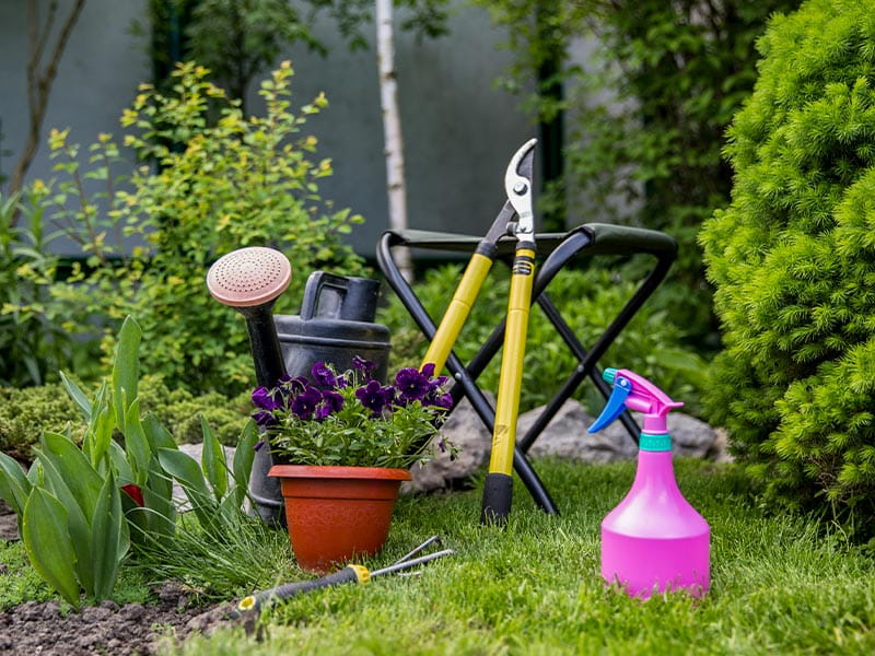 national gardening week new and beginner gardeners