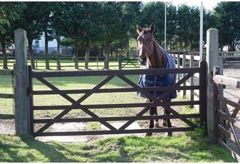 A tale of false economy and the confirmation of the low lifetime cost of Jacksons Fencing