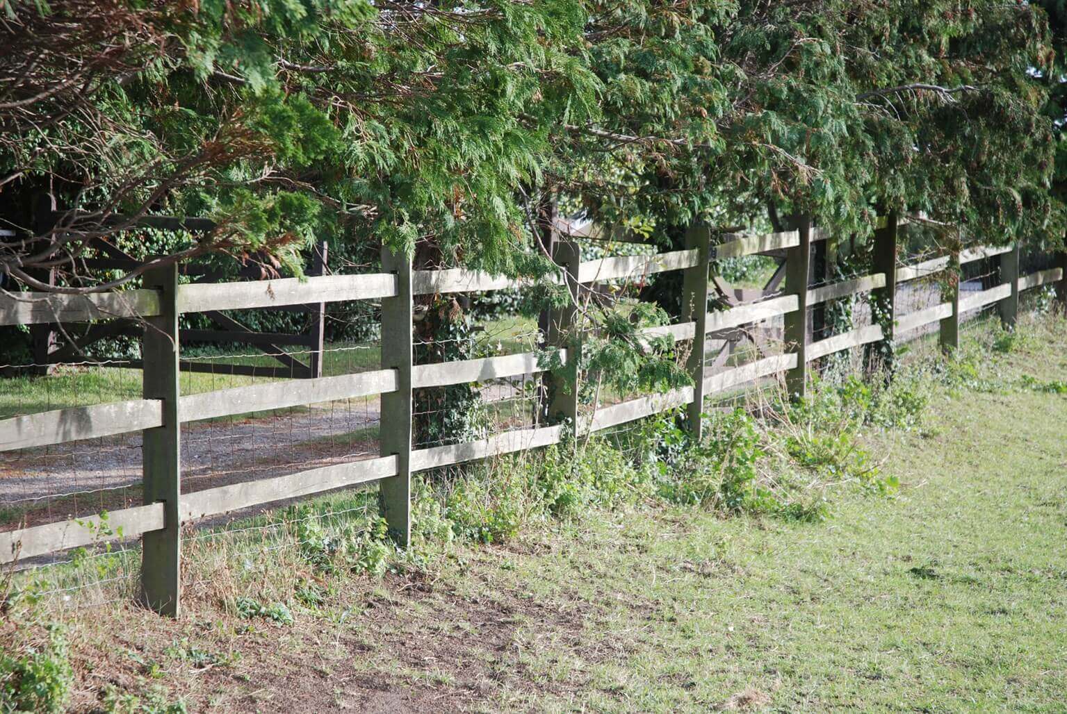 Jacksons post and rail stock fence