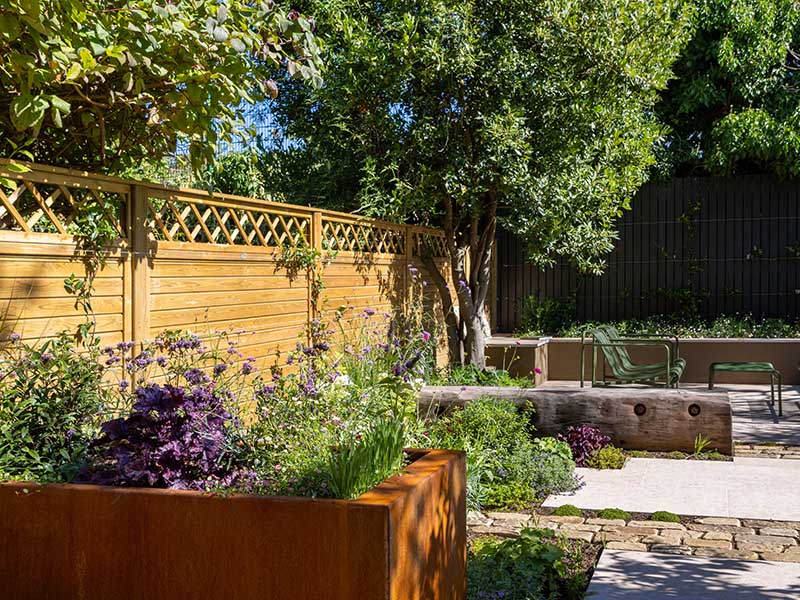 Garden Designer uses Jacksons Fencing Tongue and Groove with Trellis Topper