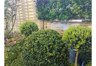 Four Tips | Planning Your Garden Project With Ease