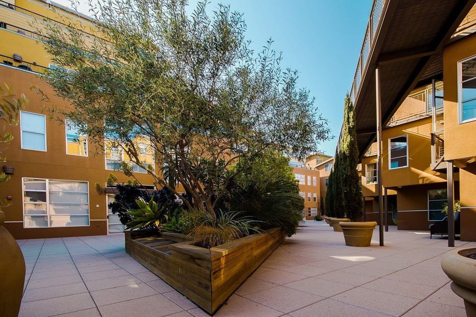 Large wooden courtyard planter