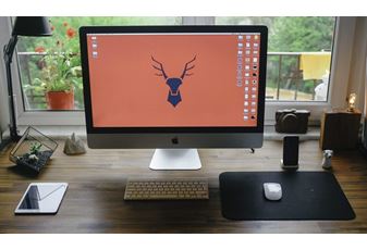 The whys and hows of the garden office