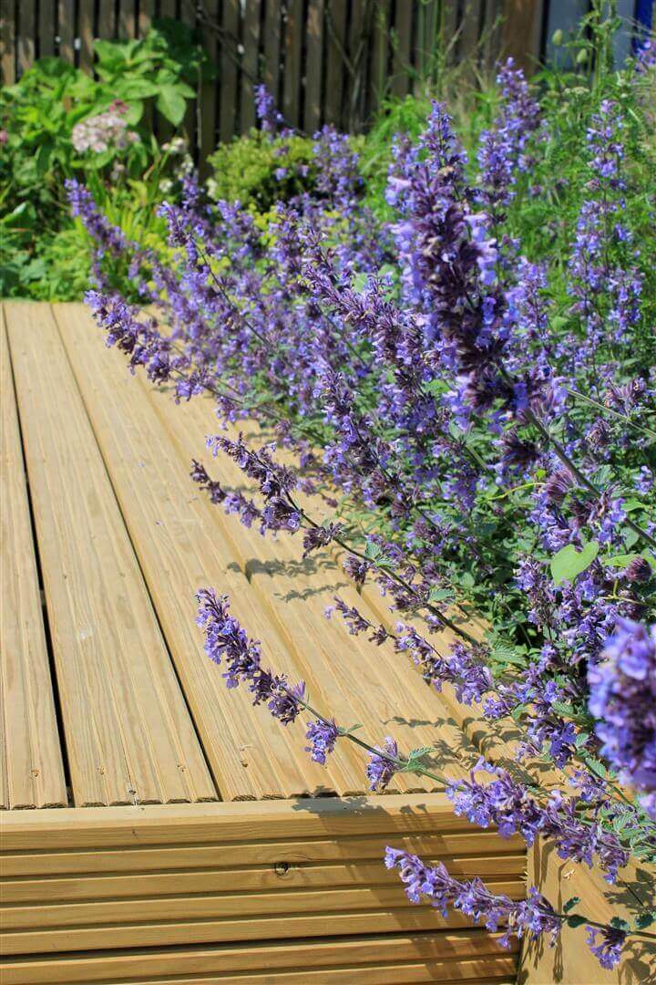 Tidy Decking