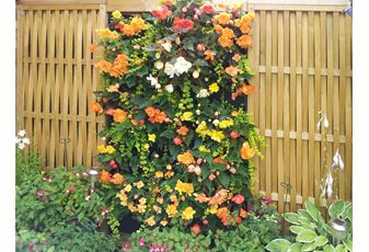 Spring Garden Jobs: Preparing Your Outdoor Space for the Season 