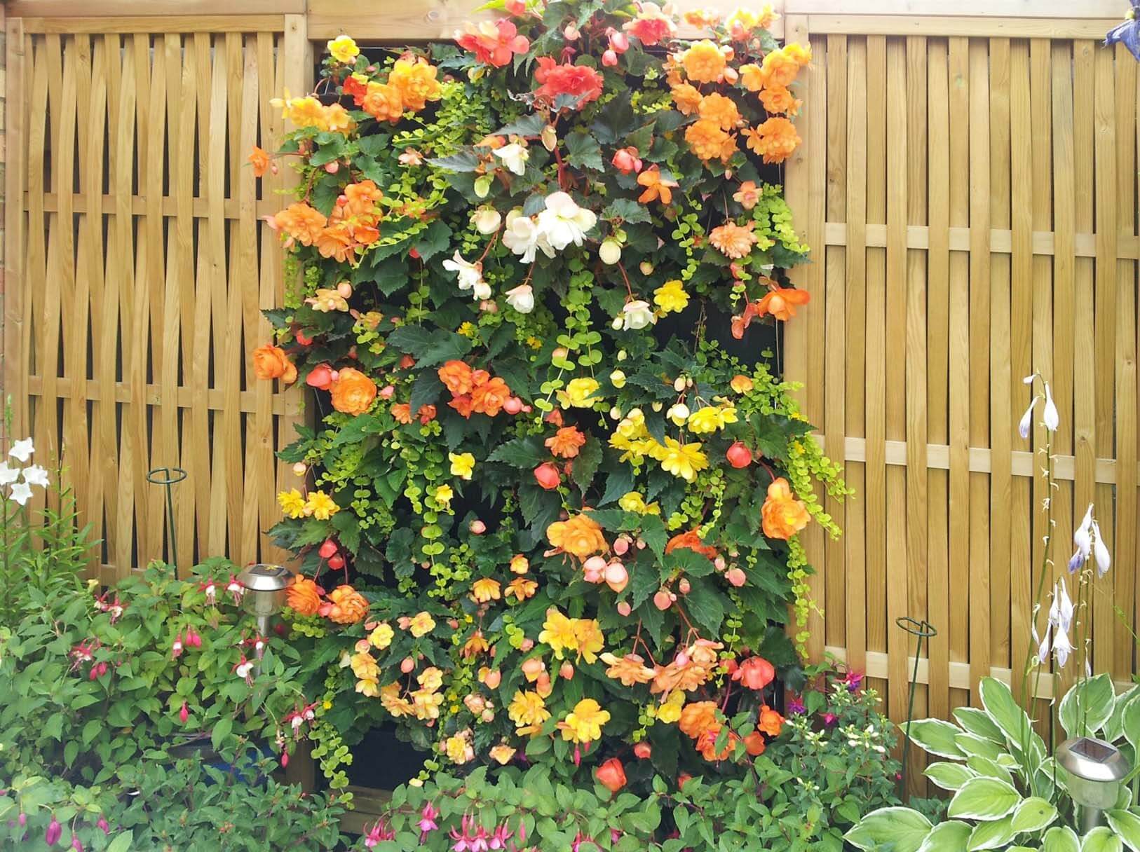 flowers in living wall fence panel