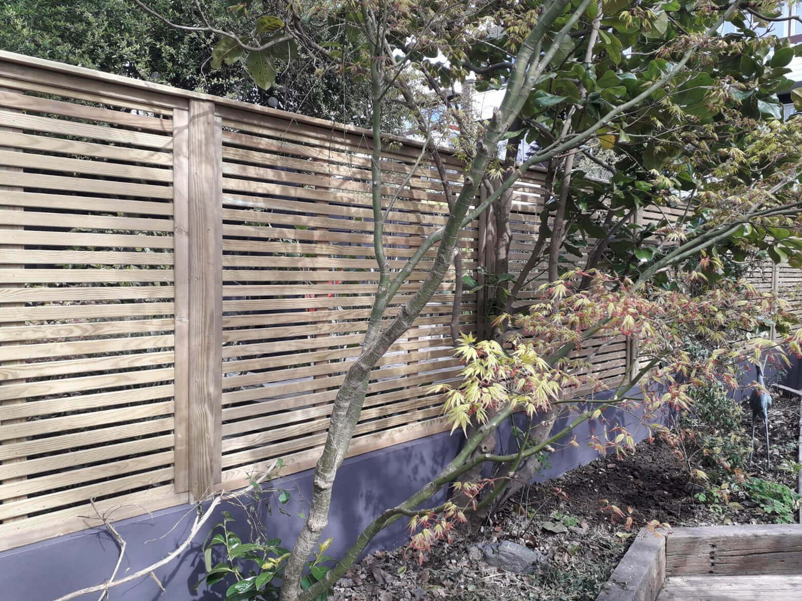 Increasing sunlight with fencing