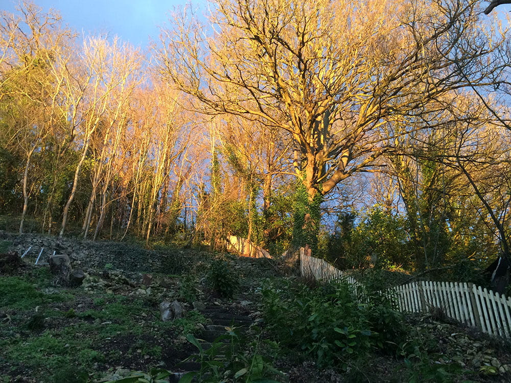 Fence on a hill