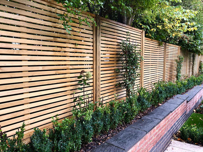 Box hedge and slatted fence panels
