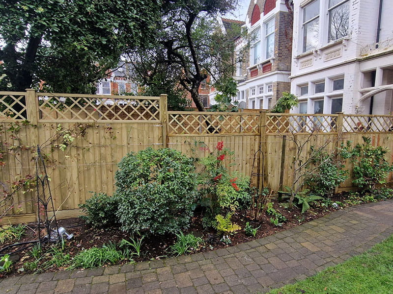 Trellis with solid fence panel