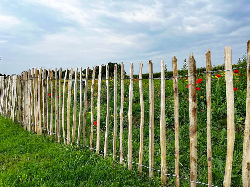 agricultural fencing cleft chestnut