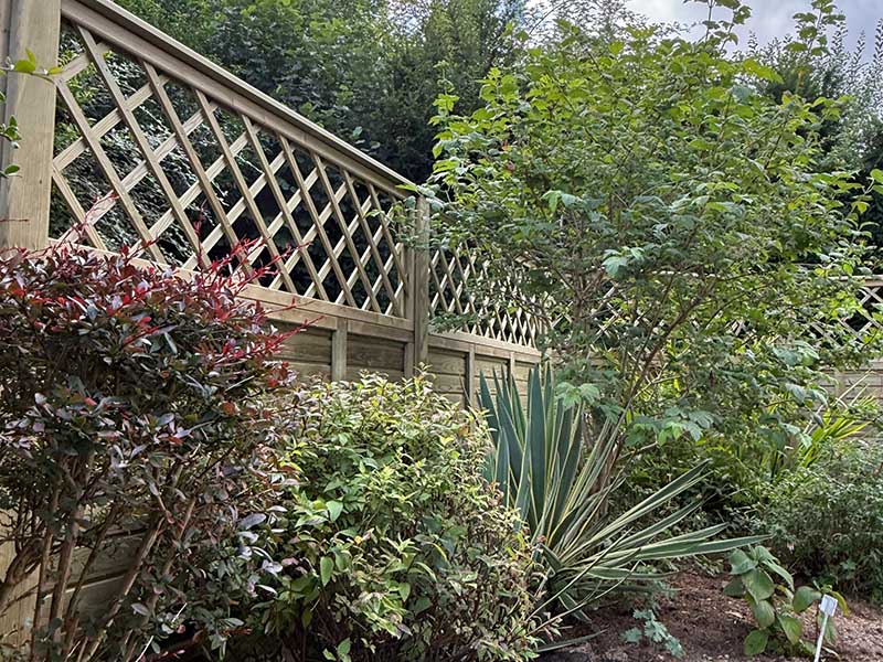 Trellis panels with planting