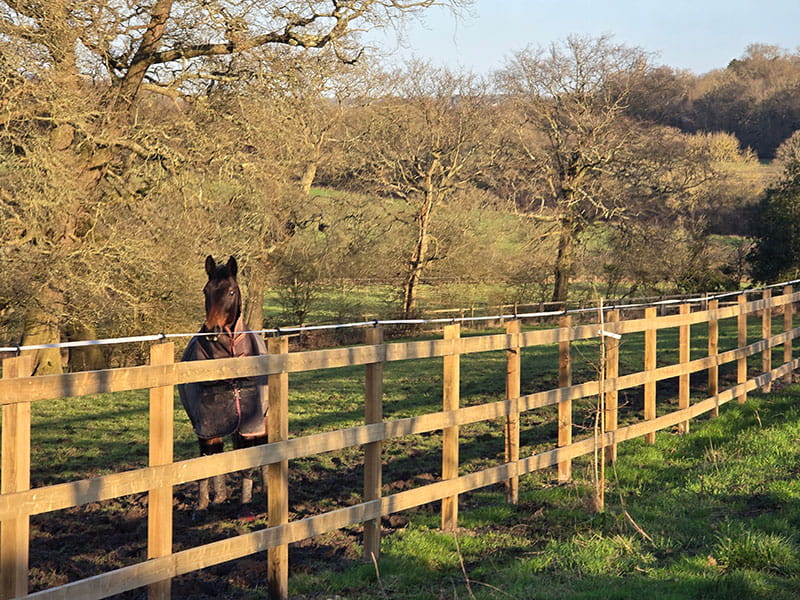 Wooden horse fencing