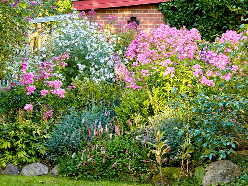 august gardening