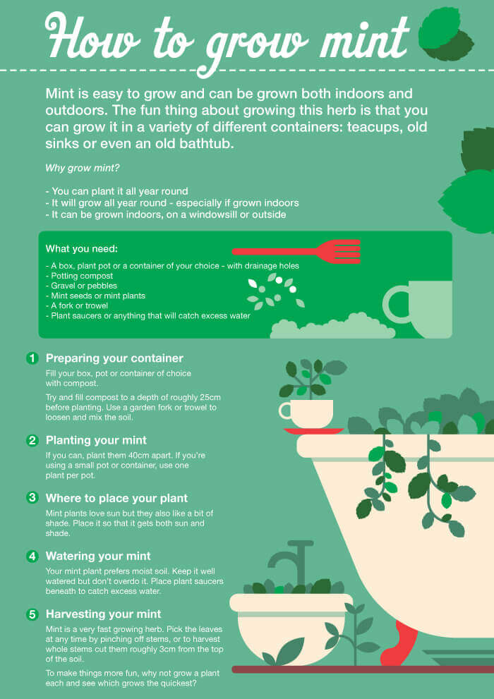 crafty garden ideas grow mint