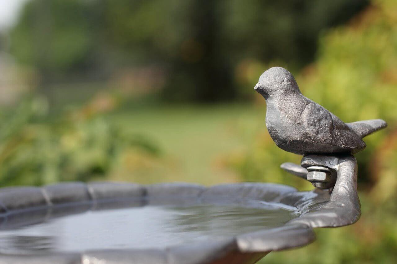 Bird Bath - garden