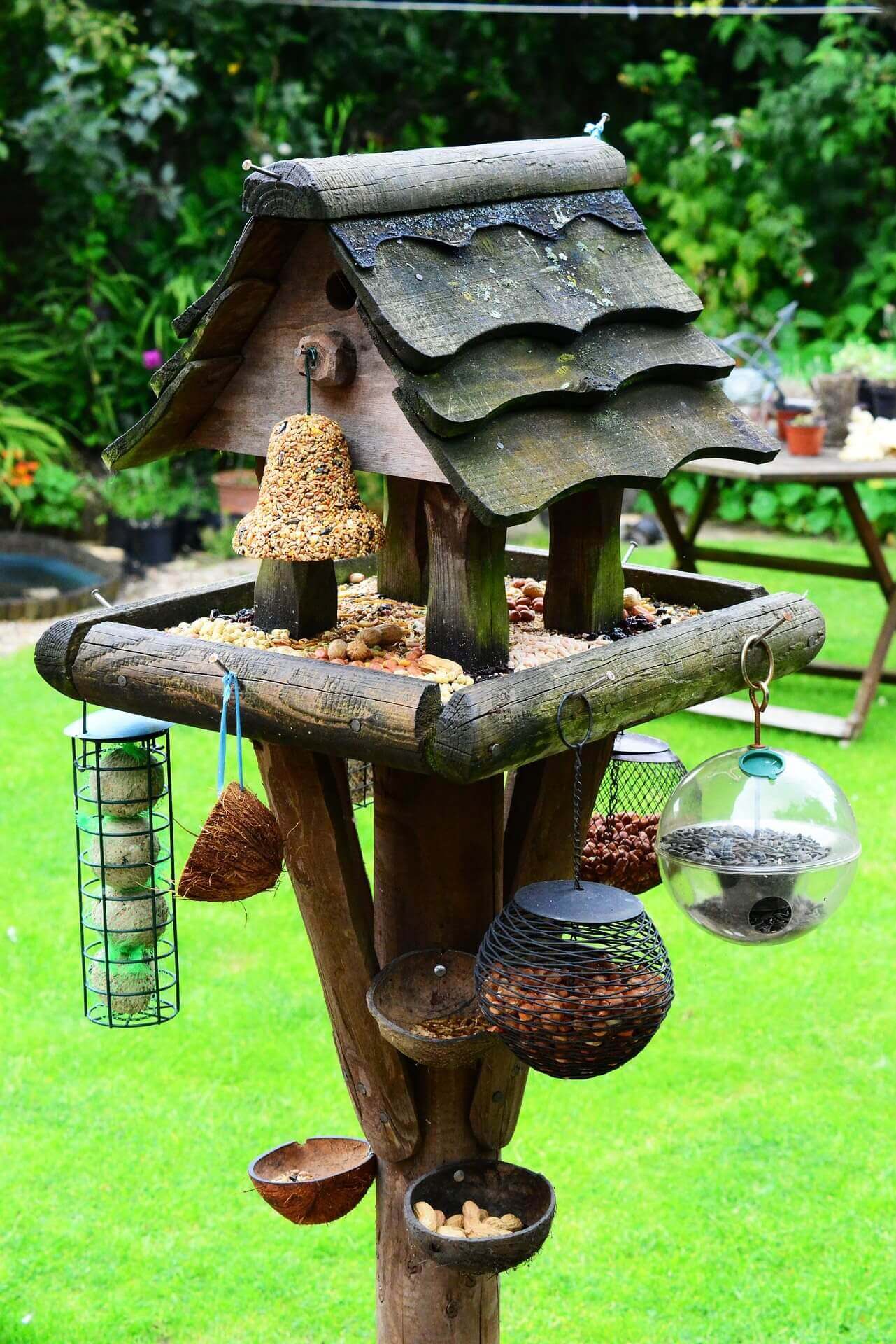 Bird House