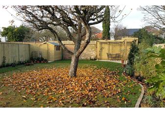 Make the most of your garden this winter