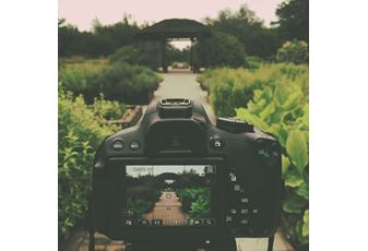 Jacksons' top 10 gardening blogs for 2019