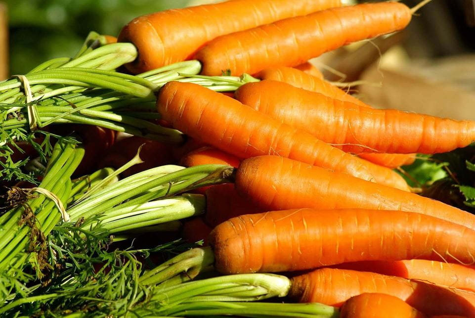 vegetables-carrots - Pixabay