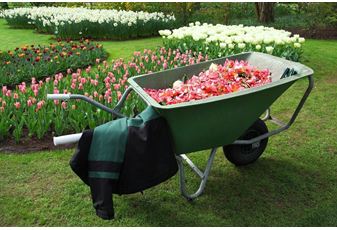 May bank holiday garden checklist